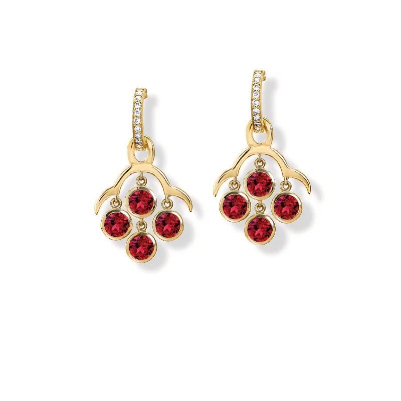 Cluster Engagement Rings with Multiple Small Diamonds Arranged in a Stunning DesignAcai Earring Drops Yellow Gold - Garnet